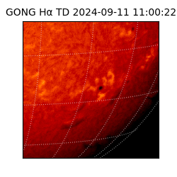 gong - 2024-09-11T11:00:22