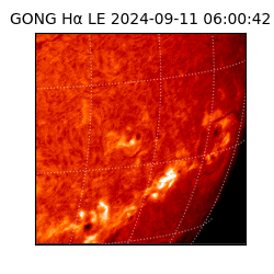 gong - 2024-09-11T06:00:42