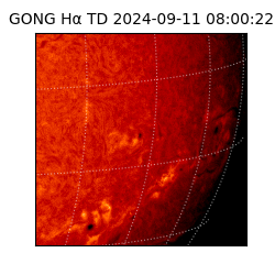 gong - 2024-09-11T08:00:22