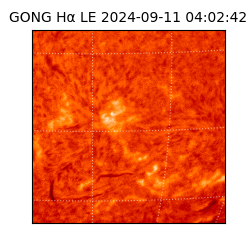 gong - 2024-09-11T04:02:42