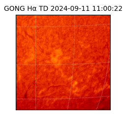 gong - 2024-09-11T11:00:22