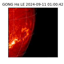 gong - 2024-09-11T01:00:42