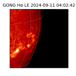 gong - 2024-09-11T04:02:42