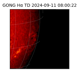 gong - 2024-09-11T08:00:22