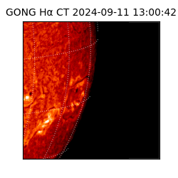 gong - 2024-09-11T13:00:42