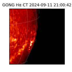 gong - 2024-09-11T21:00:42