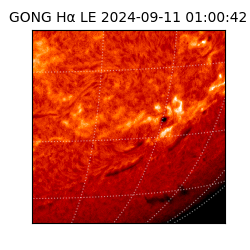 gong - 2024-09-11T01:00:42