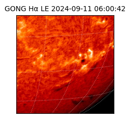 gong - 2024-09-11T06:00:42