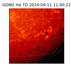 gong - 2024-09-11T11:00:22