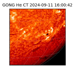 gong - 2024-09-11T16:00:42