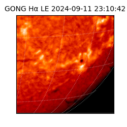 gong - 2024-09-11T23:10:42