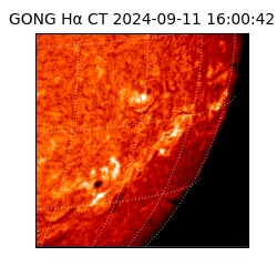 gong - 2024-09-11T16:00:42