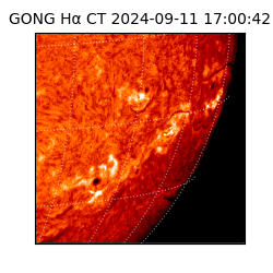 gong - 2024-09-11T17:00:42
