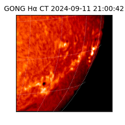 gong - 2024-09-11T21:00:42