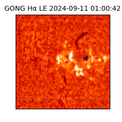 gong - 2024-09-11T01:00:42