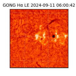 gong - 2024-09-11T06:00:42