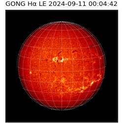 gong - 2024-09-11T00:04:42