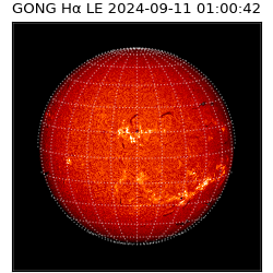 gong - 2024-09-11T01:00:42