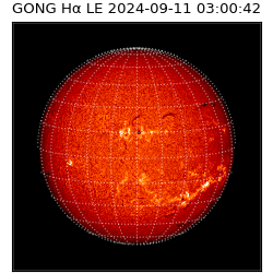 gong - 2024-09-11T03:00:42