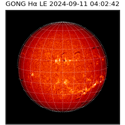 gong - 2024-09-11T04:02:42