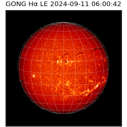 gong - 2024-09-11T06:00:42