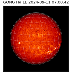 gong - 2024-09-11T07:00:42