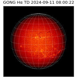 gong - 2024-09-11T08:00:22