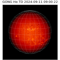 gong - 2024-09-11T09:00:22