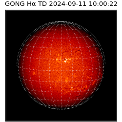 gong - 2024-09-11T10:00:22