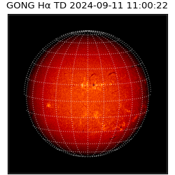 gong - 2024-09-11T11:00:22