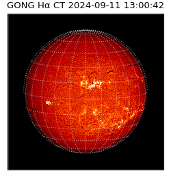 gong - 2024-09-11T13:00:42