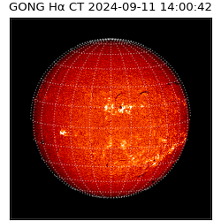 gong - 2024-09-11T14:00:42