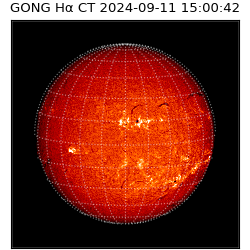gong - 2024-09-11T15:00:42