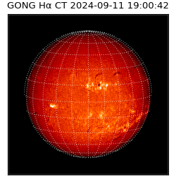 gong - 2024-09-11T19:00:42