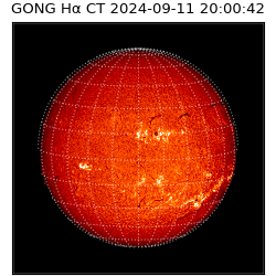 gong - 2024-09-11T20:00:42