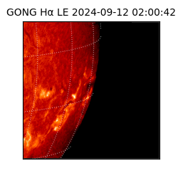 gong - 2024-09-12T02:00:42