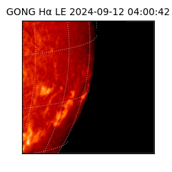 gong - 2024-09-12T04:00:42