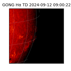 gong - 2024-09-12T09:00:22