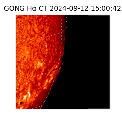 gong - 2024-09-12T15:00:42