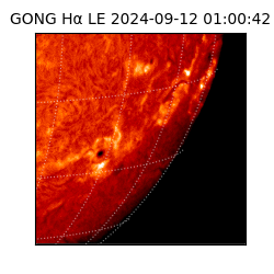 gong - 2024-09-12T01:00:42