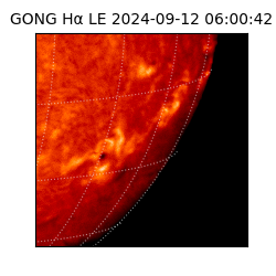 gong - 2024-09-12T06:00:42