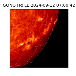 gong - 2024-09-12T07:00:42