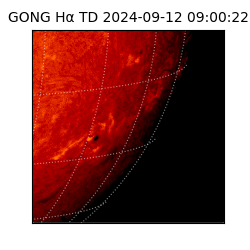 gong - 2024-09-12T09:00:22