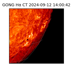 gong - 2024-09-12T14:00:42