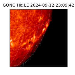 gong - 2024-09-12T23:09:42