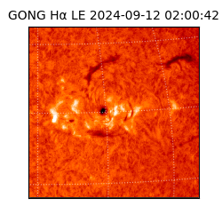 gong - 2024-09-12T02:00:42