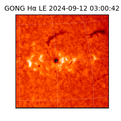 gong - 2024-09-12T03:00:42