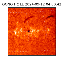 gong - 2024-09-12T04:00:42