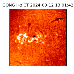 gong - 2024-09-12T13:01:42