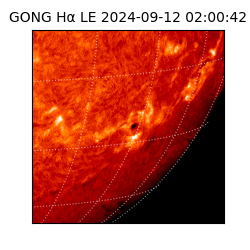 gong - 2024-09-12T02:00:42